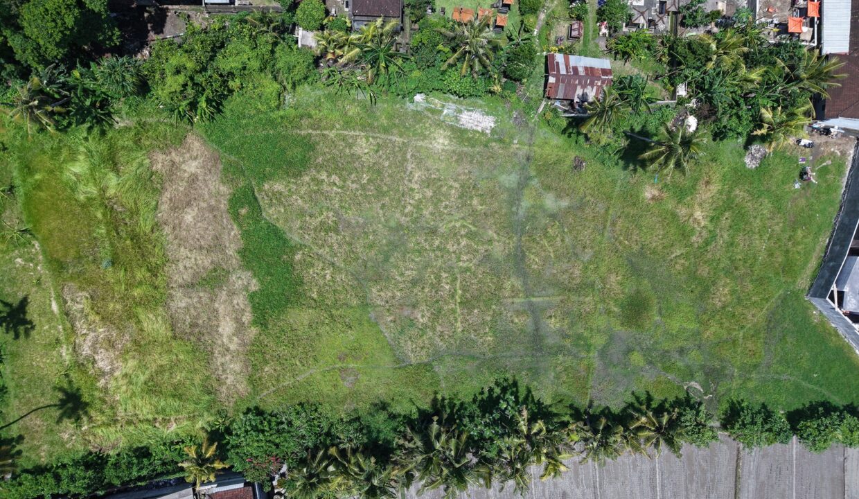 Land for Long-Term Lease in Kaba Kaba, Bali (2.1)