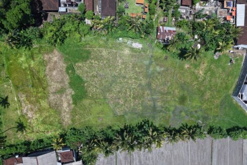 Land for Long-Term Lease in Kaba Kaba, Bali (2.1)