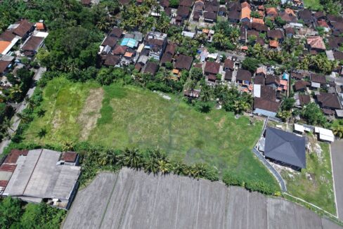 Land for Long-Term Lease in Kaba Kaba, Bali (3.1)