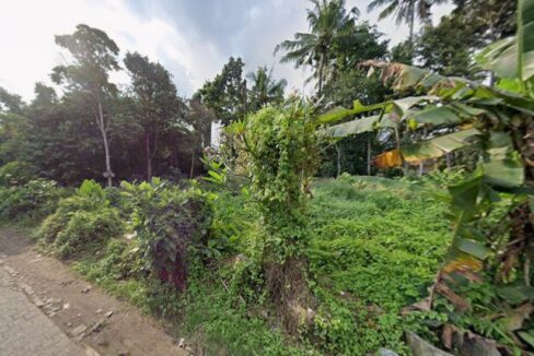 Premium Development Plot for Lease in Ubud - Ready to Build (2)