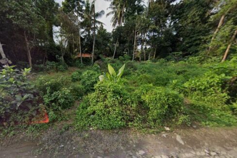 Premium Development Plot for Lease in Ubud - Ready to Build (3)