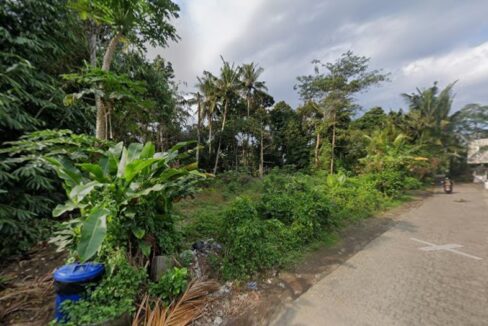 Premium Development Plot for Lease in Ubud - Ready to Build (4)