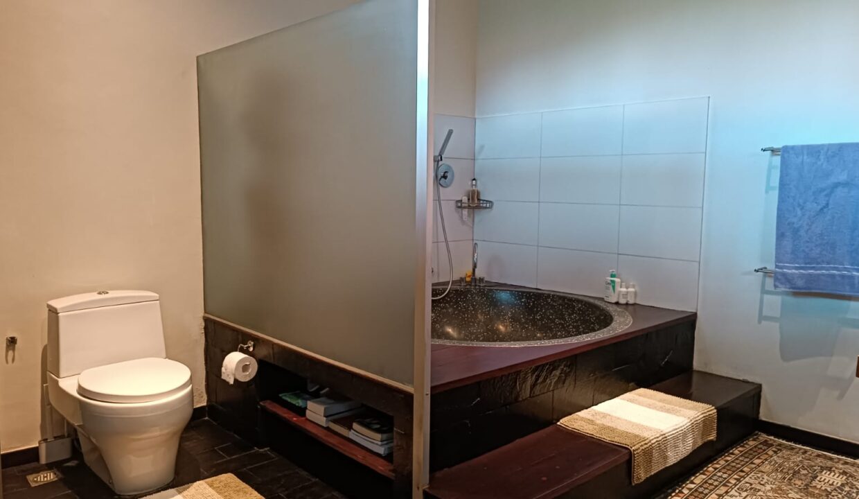 Exclusive 4 Bedroom Freehold Villa with Japanese Inspired (14)
