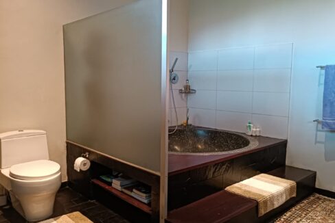 Exclusive 4 Bedroom Freehold Villa with Japanese Inspired (14)