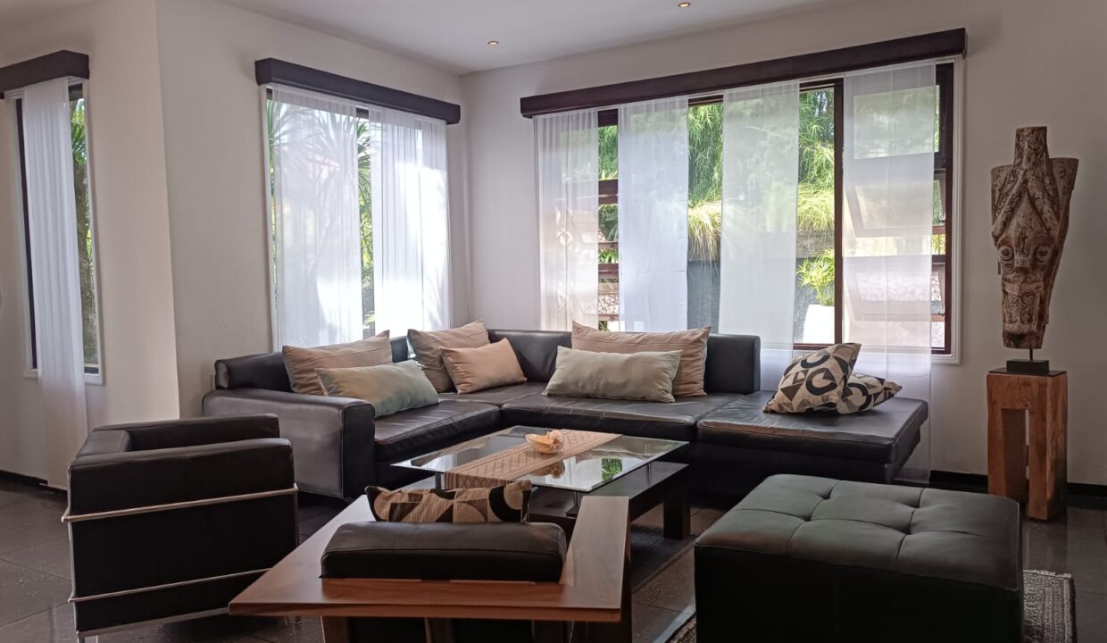 Exclusive 4 Bedroom Freehold Villa with Japanese Inspired (2)