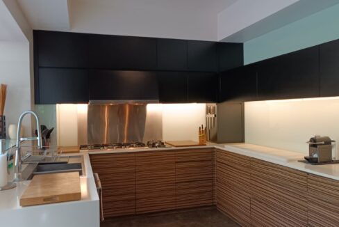 Exclusive 4 Bedroom Freehold Villa with Japanese Inspired (6)