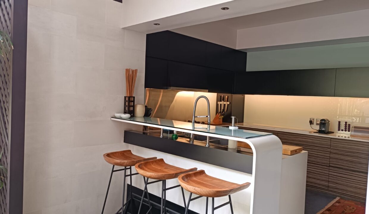 Exclusive 4 Bedroom Freehold Villa with Japanese Inspired (8)
