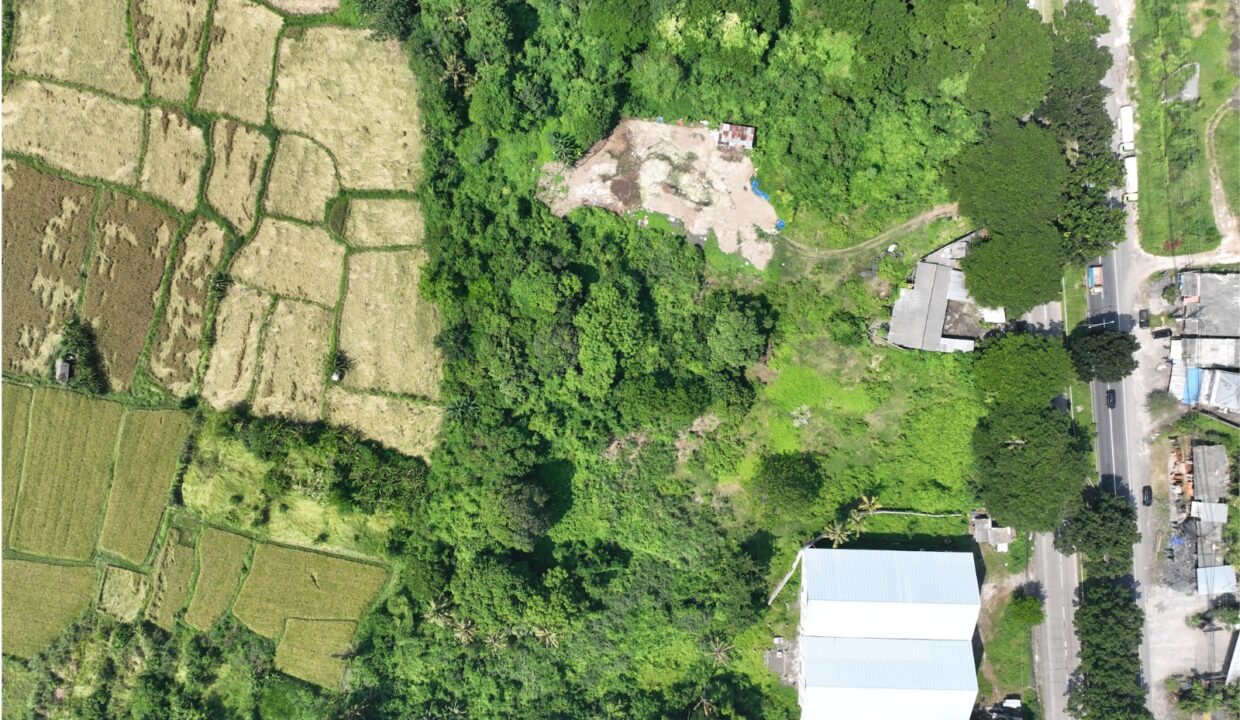 Land for Sale in Keramas, Gianyar – Strategic Investment Opportunity (4)
