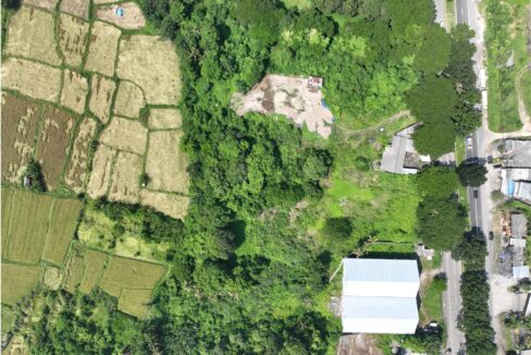 Land for Sale in Keramas, Gianyar – Strategic Investment Opportunity (4)