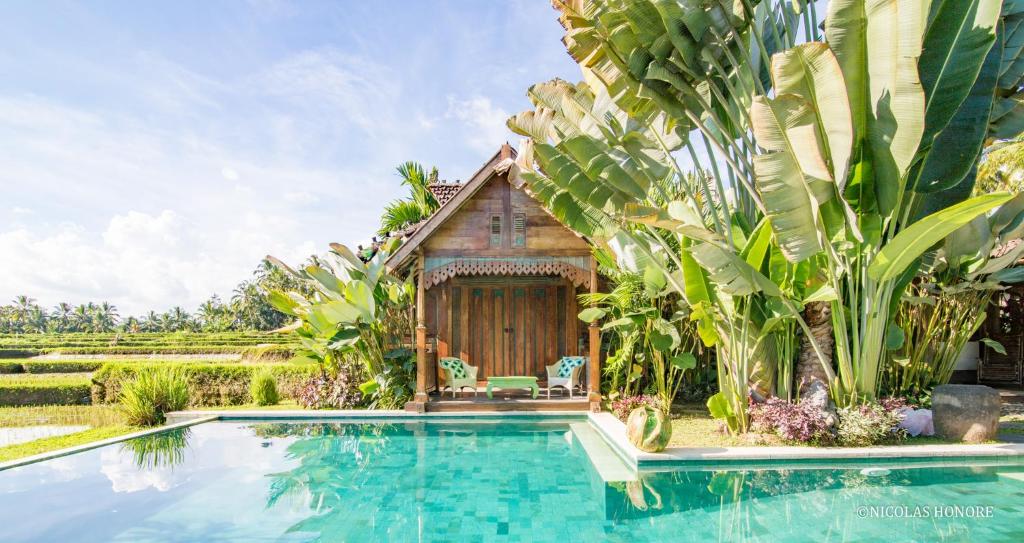 Boutique Rice Field Retreat for Sale in Ubud