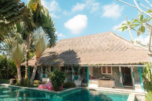 Boutique Rice Field Retreat for Sale in Ubud – Investor Opportunity (2)