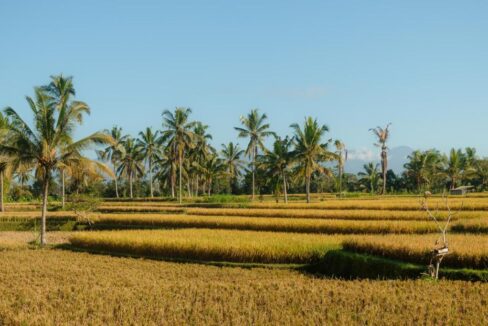 Boutique Rice Field Retreat for Sale in Ubud – Investor Opportunity (20)