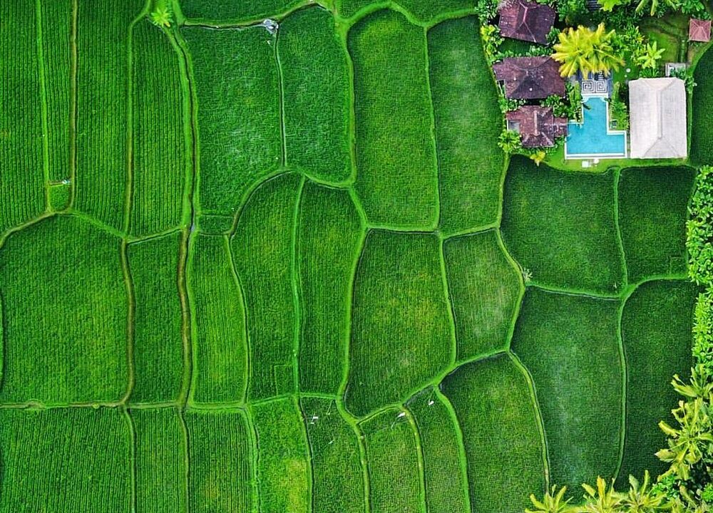 Boutique Rice Field Retreat for Sale in Ubud – Investor Opportunity (26)