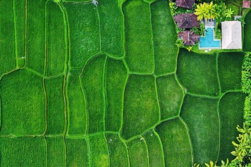 Boutique Rice Field Retreat for Sale in Ubud – Investor Opportunity (26)