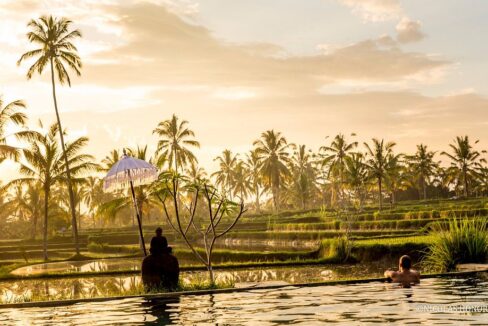 Boutique Rice Field Retreat for Sale in Ubud – Investor Opportunity (3)